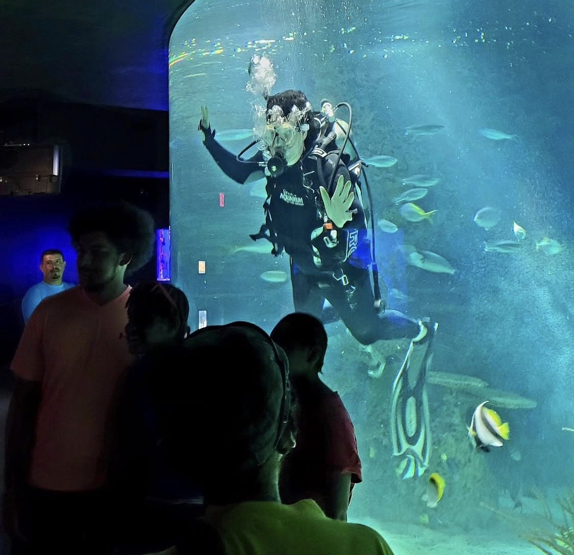Evan wearing scuba gear at an aquarium tank
